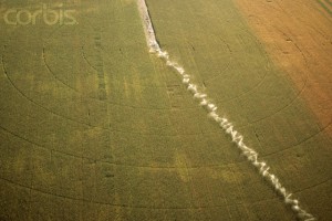 Aerial of Irrigation Sprinkler on Industrial Corn Plantation