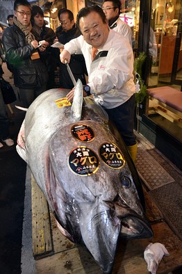 Kiyoshi Kimura, head of restaurant chain Sushi Zanmai, purchased a bluefin tuna for a record Y56.5 million on Jan. 5. Photo courtesy of: Agence France-Presse/Getty Images. 