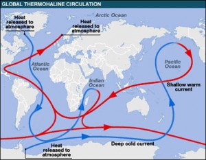 The global thermohaline circulation takes warm and cold water across the oceans