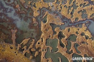 Thawing Permafrost Tundra in Yamal Peninsula