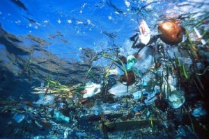 Plastic Pollution in our Oceans