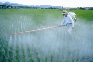 Pesticides are poisoning us all