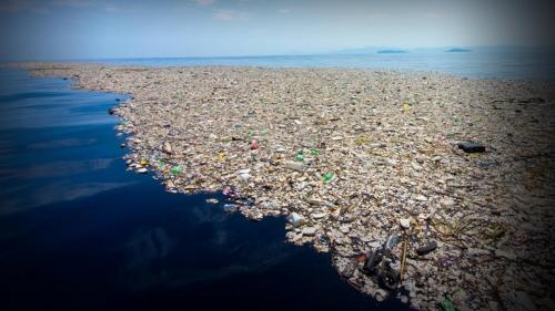 Marine-Plastic-Pollution-review