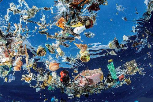 ocean-Plastic eartha banner
