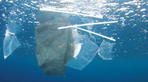 plastic-pollution-straws
